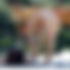 Exclusive Nude Beach Candid/1