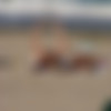 BeachVoy-SiteRip-Pics/071
