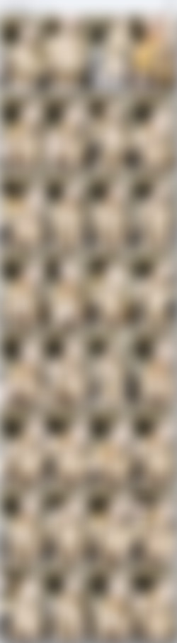 skylarmaexo - 231 PPVs/screens/2020_11_16 720p.jpg