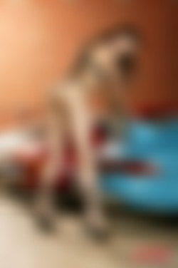x0r/SashaGrey_Pack/Sasha Grey - Grand Theft Anal 11 - photoshoot/205650.jpg