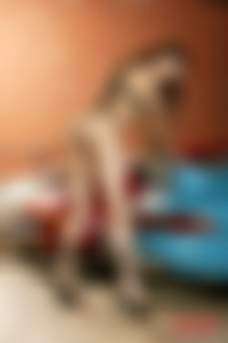 x0r/SashaGrey_Pack/Sasha Grey - Grand Theft Anal 11 - photoshoot/205651.jpg