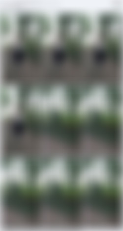 [OnlyFans.com] Kira Liv - SiteRip/Video Screens/9dcf08a8-b2ea-41d2-b0fb-68f30cca7799.m4v.jpg