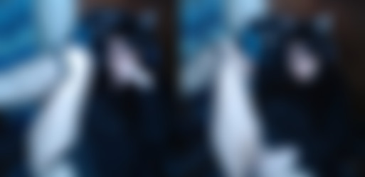Miki Blue aka Kittydanx/Kittydanx/Reddit/Pics/21.png