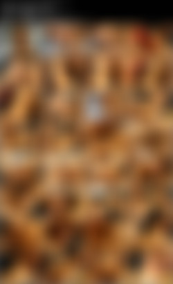 Ornelia Upscale Pack/!Screens/Ornelia - 2 on 1 5 (Version 1).mp4.jpg