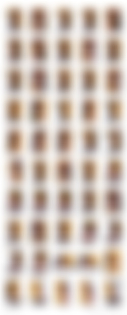 Shiny Leotards/AAA Contact Sheets/015.jpg