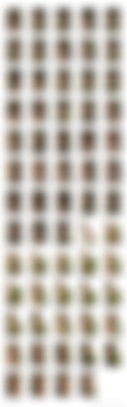 Shiny Leotards/AAA Contact Sheets/059.jpg
