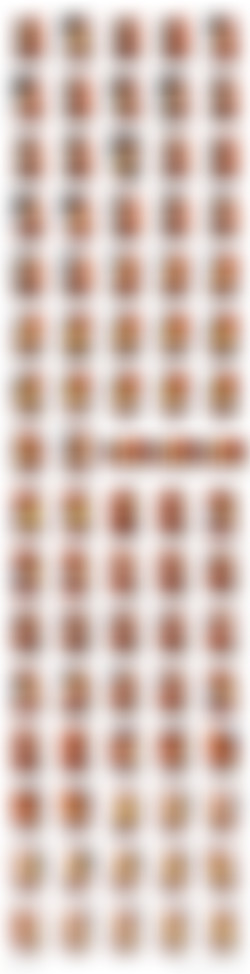 Shiny Leotards/AAA Contact Sheets/088.jpg