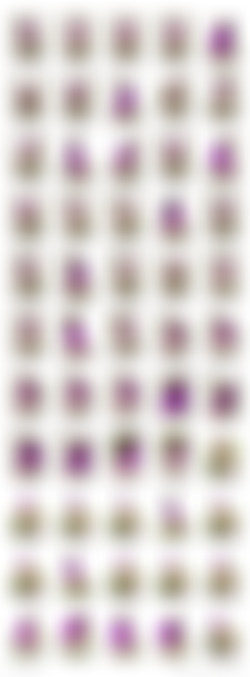 Shiny Leotards/AAA Contact Sheets/111.jpg