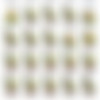Shiny Leotards/AAA Contact Sheets