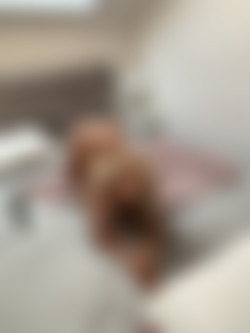 [OnlyFans.com] Elle Brooke (@ellebrookeuk)/photos/19-07-03 5288006-01 Face down ass up, thats the way I like to fuck 3024x4032.jpeg