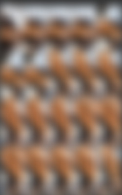 [Reddit] bigareolas/Screens/bigareolas_Acrzxc_2023-11-14 _no too big no too small  just perfect.jpg