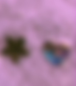tabs24x7/pics/1170x1315_d012d6544a0691ca7008b42f3c22d1f3.jpg