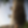 2022phdee/2022-02/[photodromm] 2022-02-06 Parker - Vertical (x46, 3000 px)