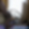 Coozhound - BBW Dick Takers