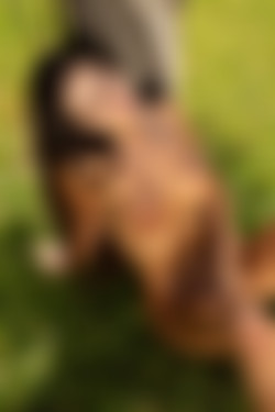 [PHD] 2024-09/20 Melita - Shades Of Green 2/45l.jpg