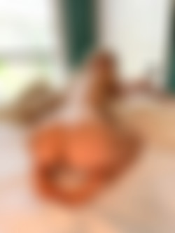 [Onlyfans] Siterip - PPV - trippie bri @trippie_bri [314 images] [123 videos]/pics/image (118).jpg