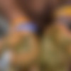 [Scatbook.com] GalacticWhorezz/images/become-my-play-mate-today-d_10093970