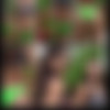 piperpresley/Videos/Screens