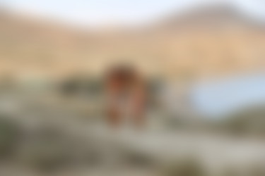 nir-2018-03-06_-_margarita_s_olga_w/1 (17).jpg