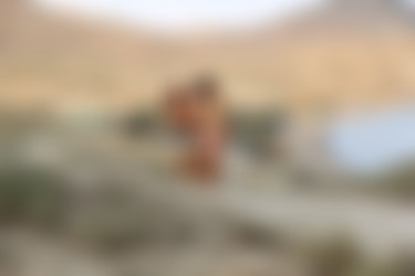 nir-2018-03-06_-_margarita_s_olga_w/1 (19).jpg