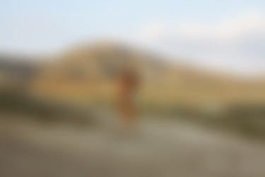 nir-2018-03-06_-_margarita_s_olga_w/1 (38).jpg