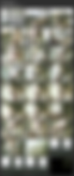 [NetVideoGirls.com] SiteRip 2000-2012 (AI Enchanced)/Screens/2000-2002/51 16-alexis-sd.mkv.jpg