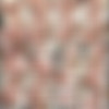 Carolina Monro/Screens