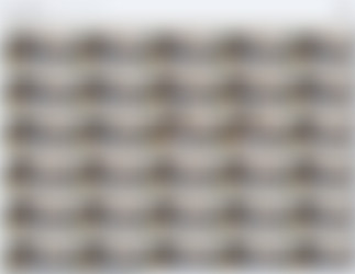 [OnlyFans.com] XEvieRoseX - SiteRip/Video Screens/2153151832.mp4.jpg