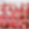 Brutal-Facesitting.com/2008/images