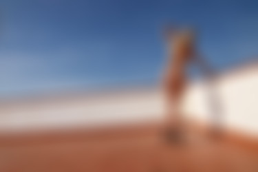 photodromm.com - 2011-11/evelyn - 04 - blonde angel 2/41l.jpg