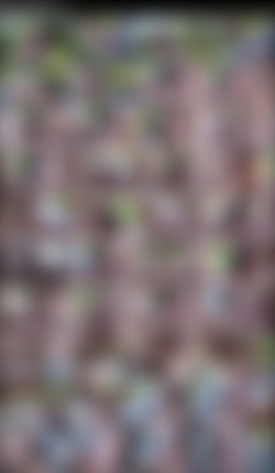 Cum Swallowing Whores #2/Screenshot/Cum Swallowing Whores #2 - Brandi Lyons.jpeg