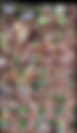 Cum Swallowing Whores #2/Screenshot/Cum Swallowing Whores #2 - Jasmine Lynn.jpeg