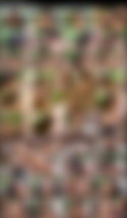 Cum Swallowing Whores #2/Screenshot/Cum Swallowing Whores #2 - Mason Storm.jpeg