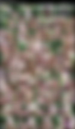 Cum Swallowing Whores #2/Screenshot/Cum Swallowing Whores #2 - Melanie X.jpeg