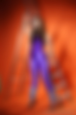 Shiny Leotards/Gallery 013 - Jana/013sl_029.jpg