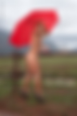 [photodromm.com] 2016-10/[photodromm.com] - 2016.10.16 - Brigitta - Extreme Me! (x54) 2000x3000/26l.jpg