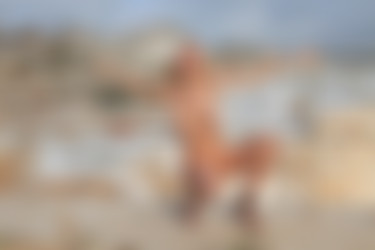 photodromm.com - 2014-01 - 2014-03/photodromm.com - 2014-01/alisa - work in progress 2/36l.jpg