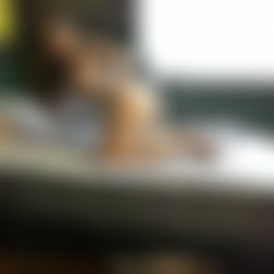 .flv