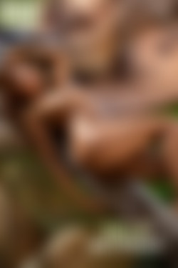 [photodromm.com] 2018-09/[photodromm.com] - 2018.09.28 - Cruzlyn - Exotic Afternoon II (x46) 2000x3000/Cover.jpg