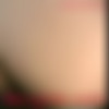 [NetVideoGirls.com] SiteRip 2000-2012 (AI Enchanced) thumbnail