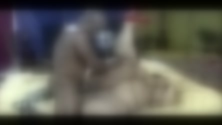 116661.mp4