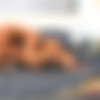 The Doll House 3 thumbnail