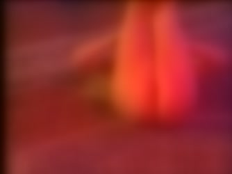 241137.mp4