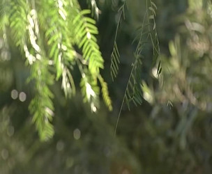 Roxy Jezel - The Complete Collection/Roxy Jezel & Alicia Rhodes - Roxy Jezel's Fuck Me - Extra.mkv