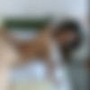 All Sex