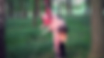 Subspaceland.com Collection/Christie Starr - Wheelbarrow Of Shame.mp4