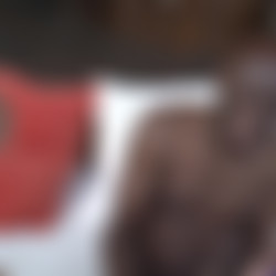 Rocco.mp4