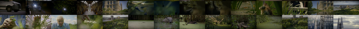 Wild.London.2026.2160p.iP.WEB-DL.Hybrid.DV.HLG.H.265.AAC2.0-ATTABORO.mkv screencaps