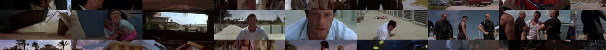 The.Punisher.2004.Extended.Cut.1080p.BluRay.H264.AC3.Will1869 screencaps